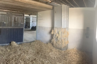 Sweet Horses