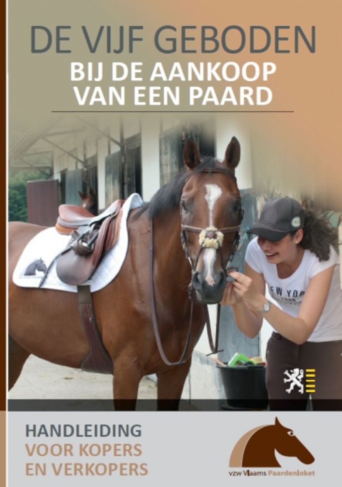 Nieuwe Brochure: De vijf geboden bij de aankoop van een paard