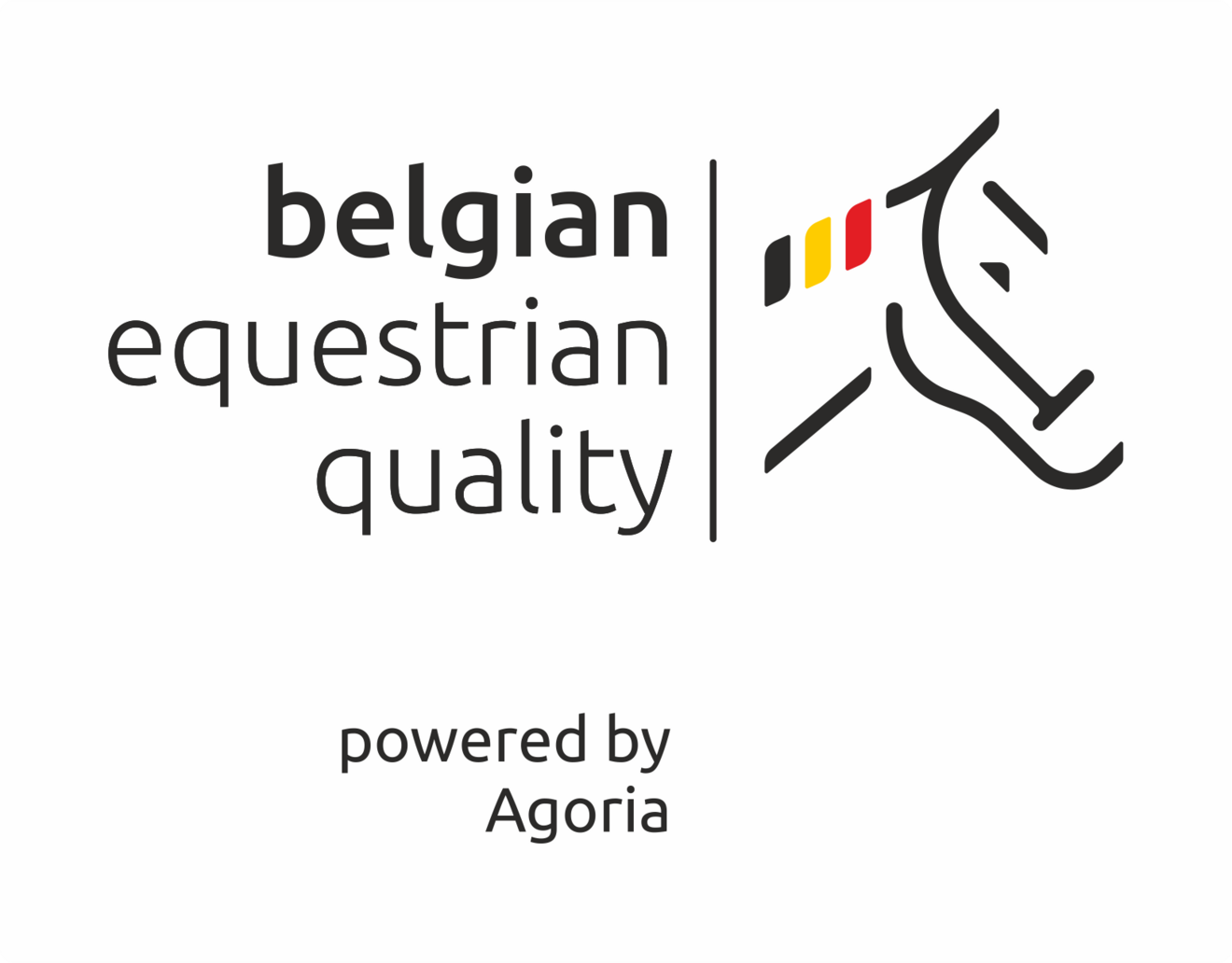 Gratis webinar Belgian Equestrian Quality