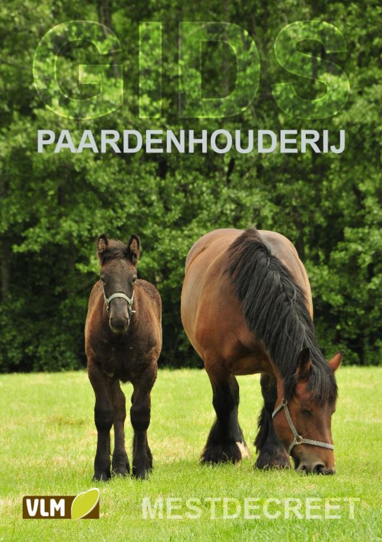 Nieuwe brochure rond het Mestdecreet, specifiek voor paardenhouders