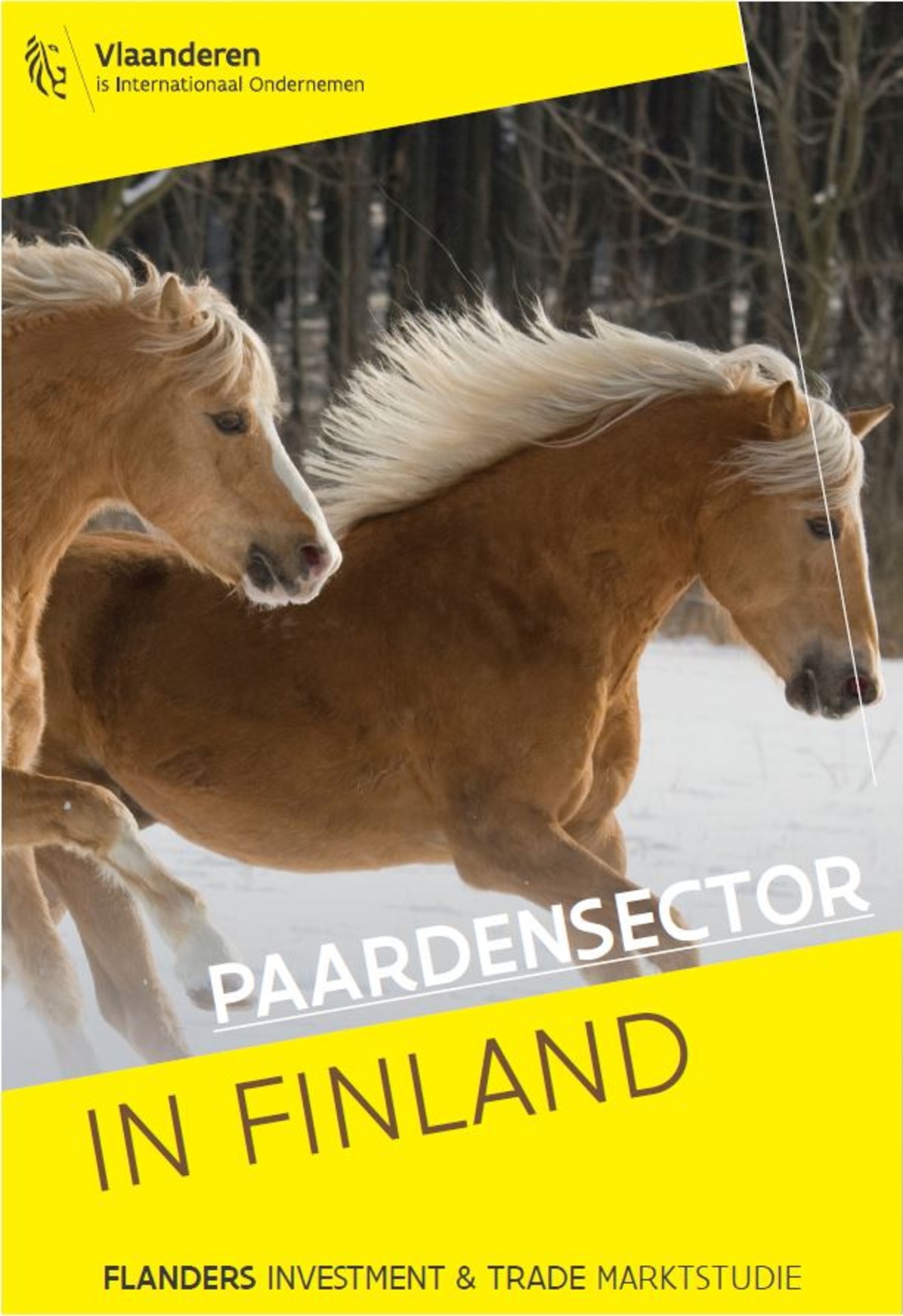 Studie over de paardenmarkt in Finland beschikbaar