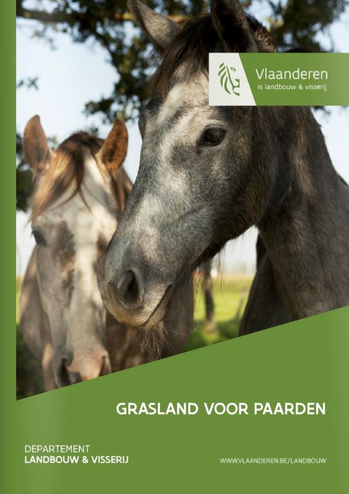 Grasland voor paarden: Vernieuwde brochure