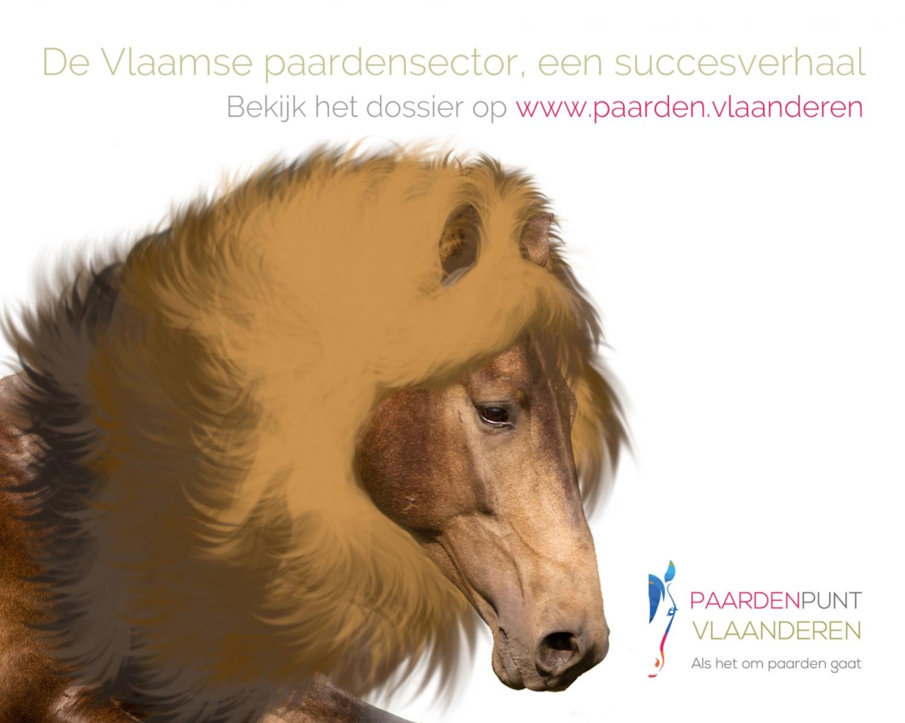 Vernieuwd dossier! De paardensector in Vlaanderen, een succesverhaal
