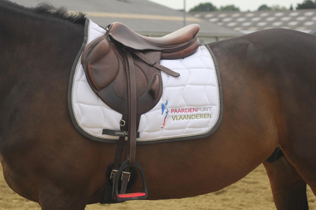 Winnaars zadeldoeken Flanders Horse Expo