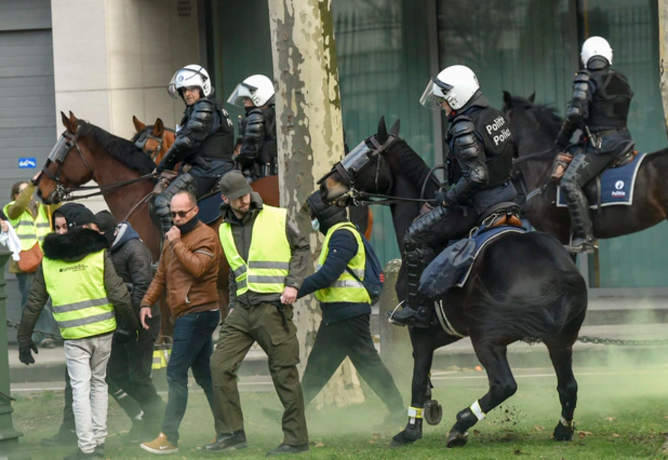 Federale Politie zoekt paarden via centrale kijkdag!