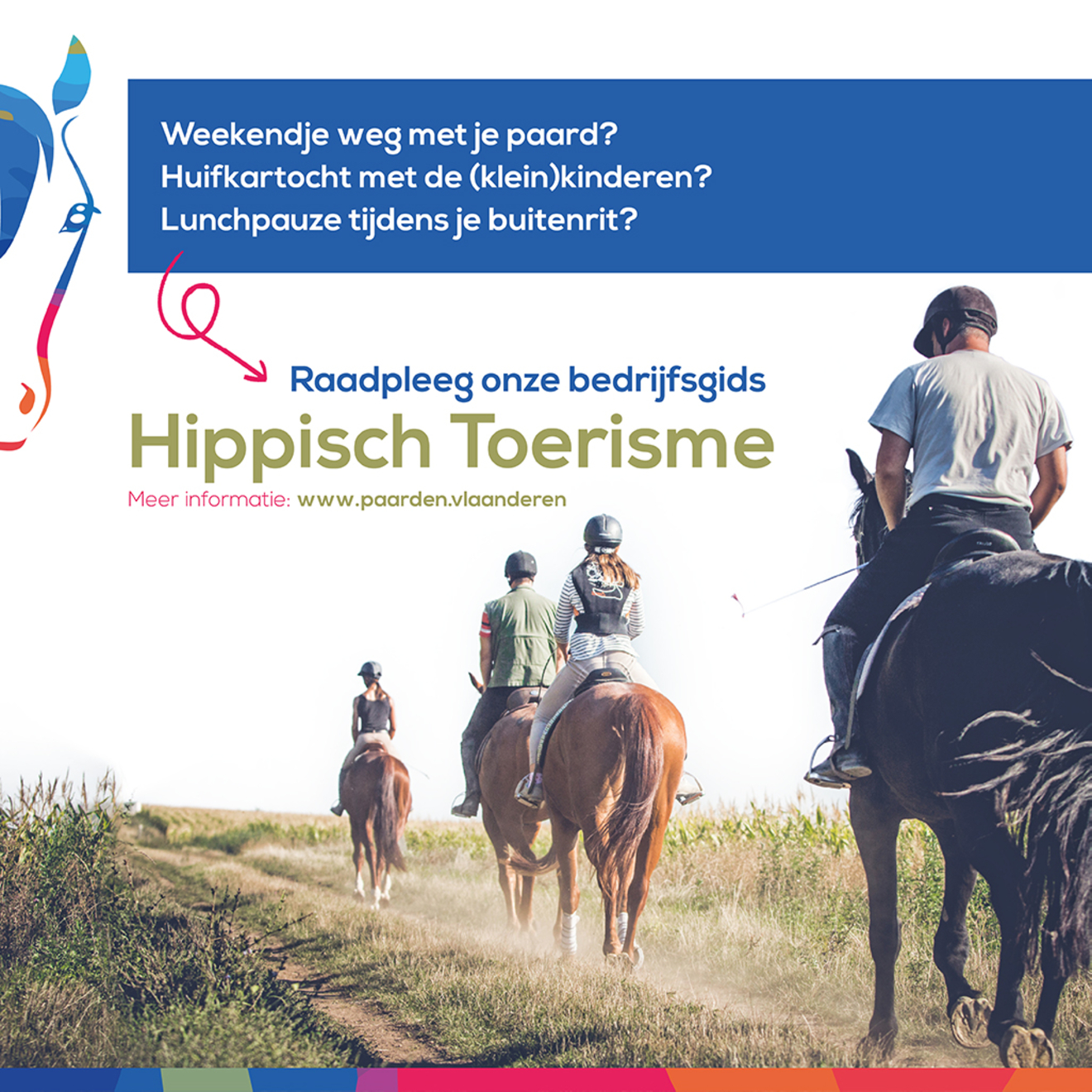 Nieuw: Bedrijvengids Vlaams paardentoerisme