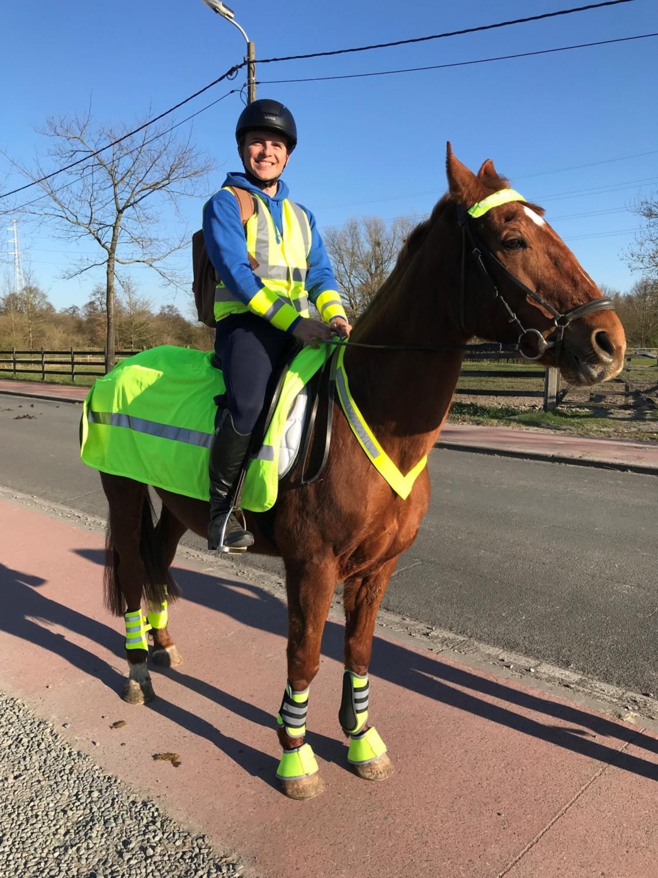 PaardenPunt Vlaanderen hernieuwt ‘Hou jezelf in toom’ campagne.