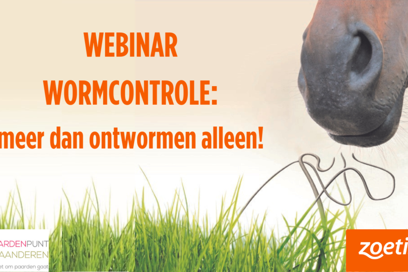 Webinar | Wormcontrole bij paarden: meer dan ontwormen alleen.