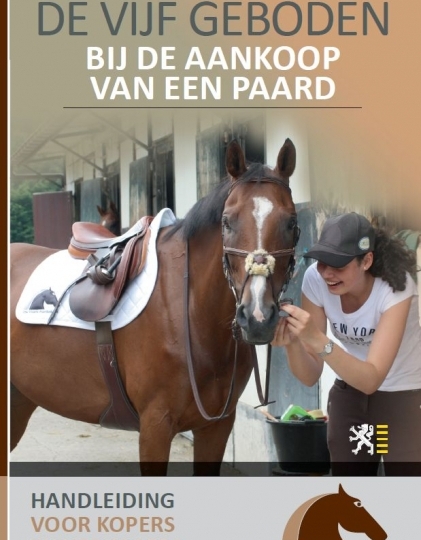 Nieuwe Brochure: De vijf geboden bij de aankoop van een paard