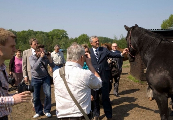 Stichting voor Paarden in Nood opgericht