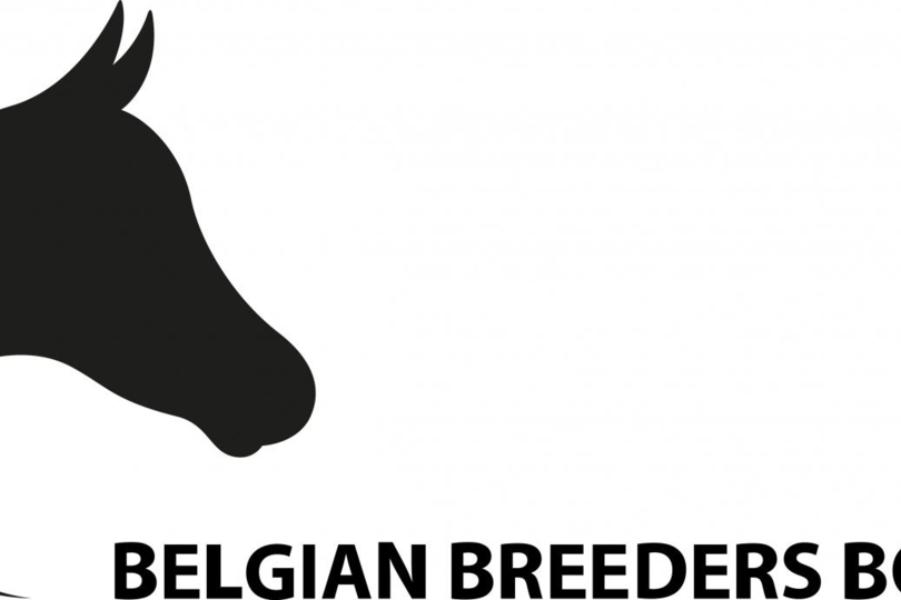 Familie Bruggeman bovenaan in ranking ‘Belgian Breeders Bonus’