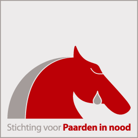 Nieuwe acties tegen paardenverwaarlozing in Vlaanderen