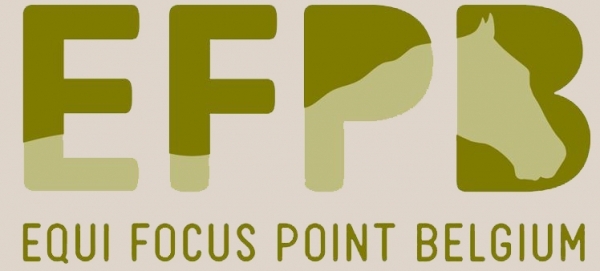 Melding Equi Focus Point Belgium (EFPB): Haard van equiene herpes virus type 2 in Geluwe