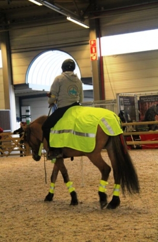 Beurswedstrijd “Val op in het verkeer – Goed geËQUIpeerd de weg op” (Flanders Horse Expo)