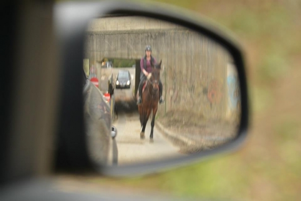 Kijk Uit vestigt de aandacht op paarden op de openbare weg
