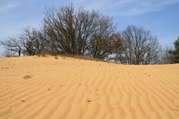 De Duinengordel – Nieuw paradepaardje voor ruiter- en mentoerisme provincie Limburg