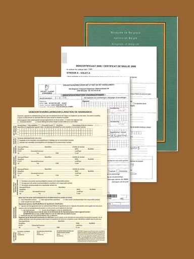 Wijzigingen aan de reglementering inzake identificatie en registratie van paardachtigen: Nieuw KB vandaag, 11 oktober 2013, gepubliceerd
