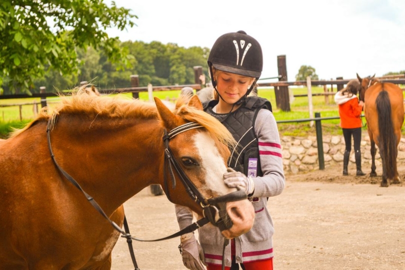 Onderzoekers willen paardenmensen beter leren kennen:  Neem deel aan de enquête (Engelstalig).