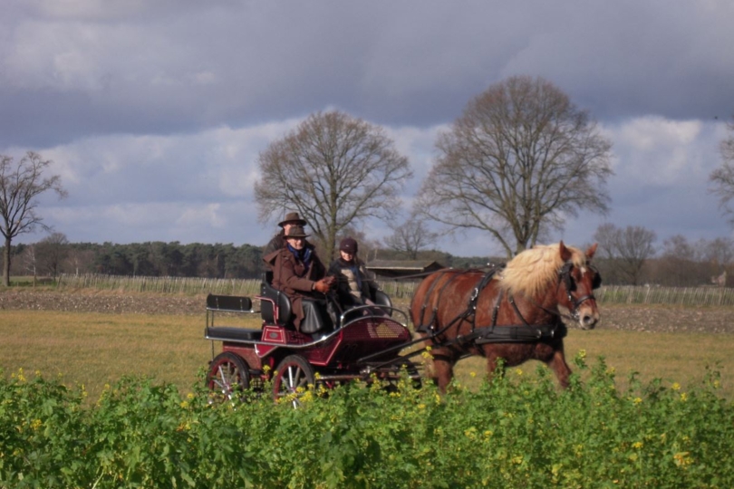 Eénmalig toegankelijke ruiter- en menroute in het GrensPark Kempen-Broek