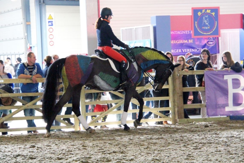 Flanders Horse Expo: verslag en winnaars quiz
