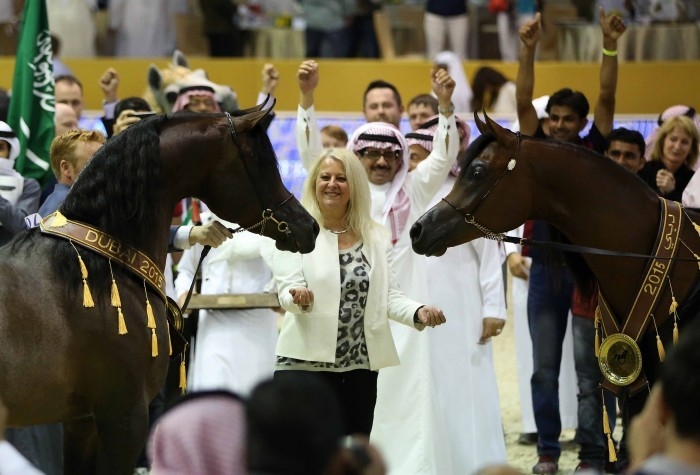 Dubbel goud voor Vlaamse Arabische paarden