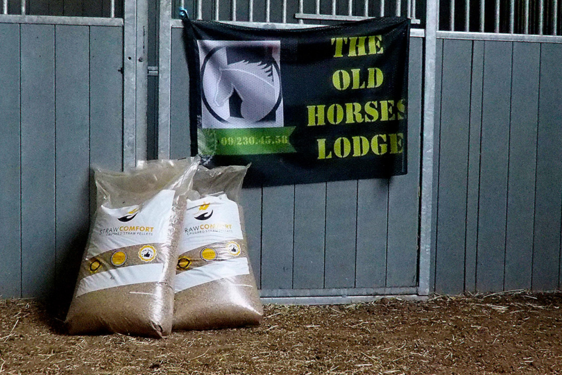 Asielpaarden The Old Horses Lodge staan deze winter tevreden en gezond op stal dankzij schenking Stropellets.be