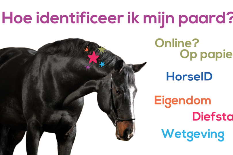 Gratis seminarie over identificatie op Flanders Horse Expo