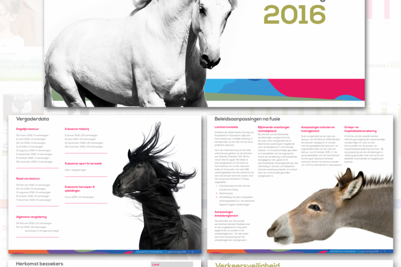 PaardenPunt Vlaanderen blaast een kaarsje uit: Bekijk het Jaarverslag 2016