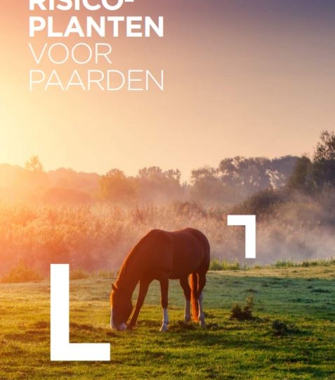 Nieuwe brochure: risicoplanten voor paarden