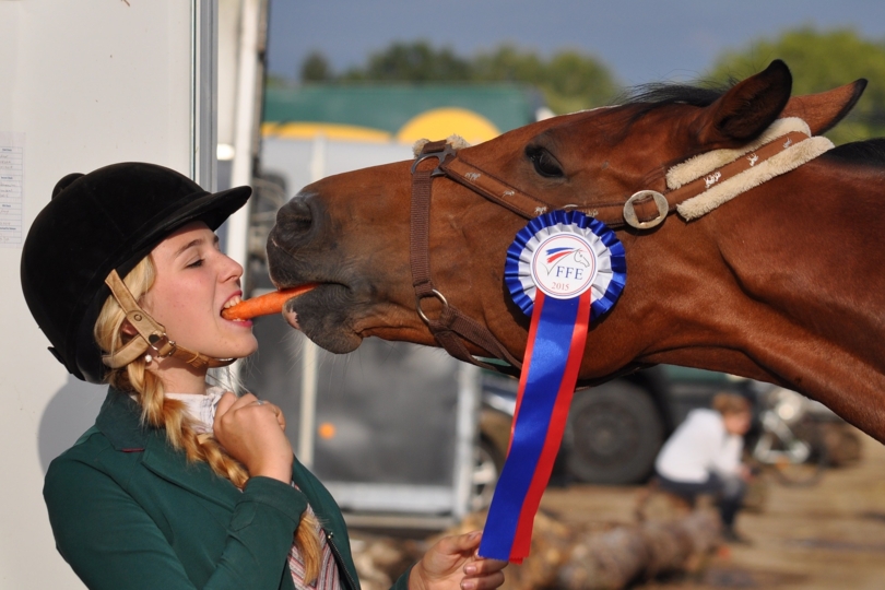 Belgen schrijven geschiedenis op World Equestrian Games (WEG) te Tryon!