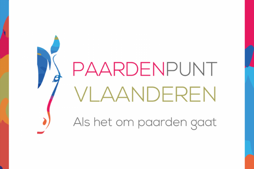 Wie is PaardenPunt Vlaanderen en wat doen we?