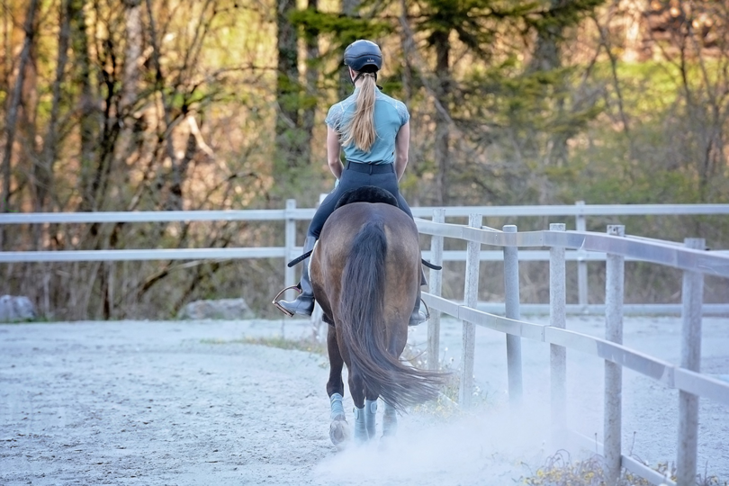Brevettenwerking paardensport