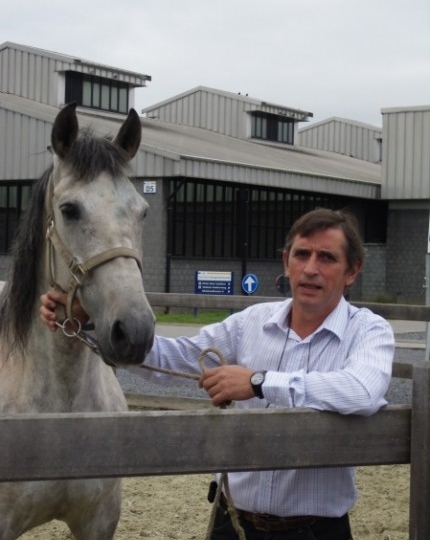 Prof. Frank Gasthuys opnieuw verkozen als Voorzitter van PaardenPunt Vlaanderen
