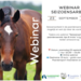 Webinars seizoensarbeid en flexi-jobs